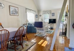 Living Area w Ladder to Loft