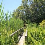 Cape Cod Cottages Walking Bridge To The Beach