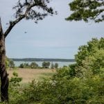 Merrow Cottage Water View